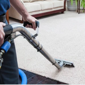 Image of a carpet cleaner with a steam want cleaning a carpet