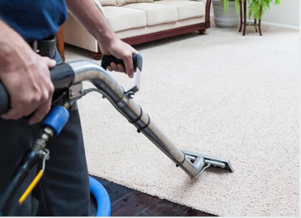 Image of a carpet cleaner with a steam want cleaning a carpet