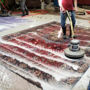 Area Rug Cleaning Packages