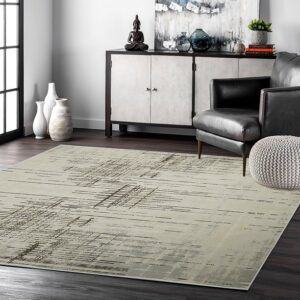 Modern Area Rug Cleaning Healthy Home Package