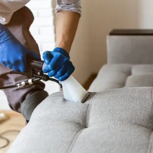 Cleaner Longer Upholstery Cleaning Package