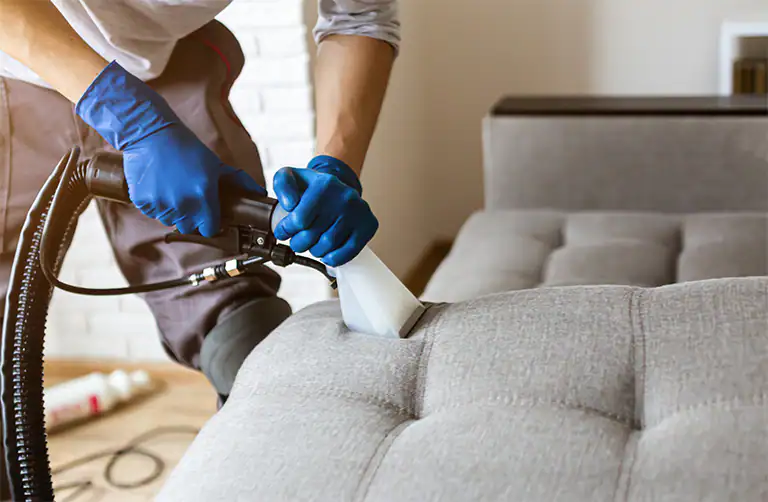 Upholstery Cleaning Deals