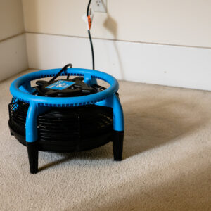 Carpet Cleaning – Cleaner Longer Package