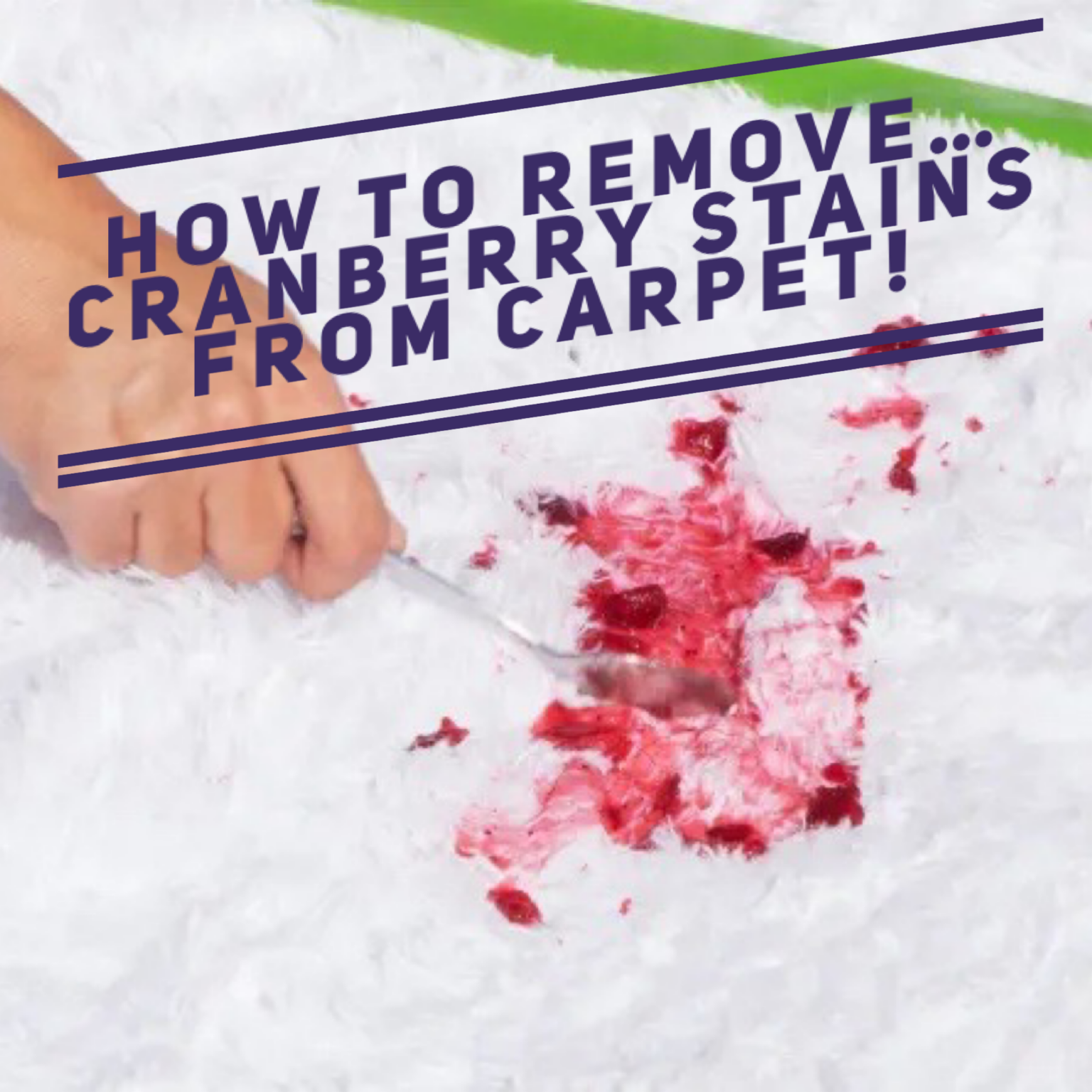 Removing Red Stains from Cranberries on you carpet.
