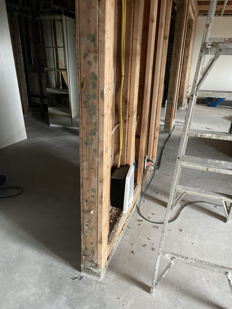 Image of mold on the framing of a home because of water damage