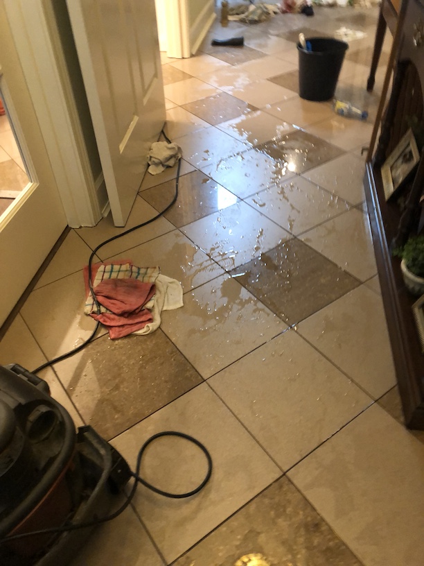 The hallway, still wet from a water damage that occurred in a bathroom near by.